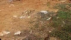 Futanari Riding Big Black Cock Quickie