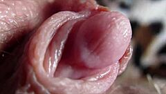 I feel my big clit pulsing in this intense orgasm closeup