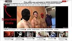 two hotties sucking cocks and swallowing cum in bukkake contrasts wild group action