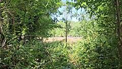 What do you think about cruising trails in Clapham Common for outdoor public fun?