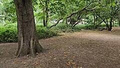 What do you think about cruising trails in Clapham Common for outdoor public fun?