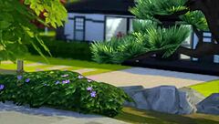 Sims 4 Voyeur Surprises In Bath