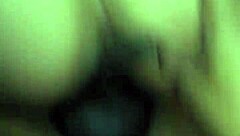 story of my chubby delightful companion in amateur setting