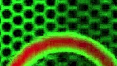 Why let this oriental slut get tied up and dominated like that?