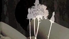 Have you ever wondered about the erotic confessions from a Victorian gentleman's secret life?