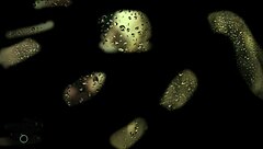 forbidden love episode 02 audio story told from emotional first-person perspective with deep personal insights and reflections