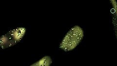 forbidden love episode 02 audio story told from emotional first-person perspective with deep personal insights and reflections