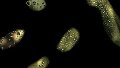 forbidden love episode 02 audio story told from emotional first-person perspective with deep personal insights and reflections