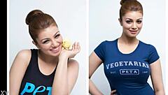 Top 6 Big Boobs Bollywood Actresses In 2017