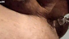 Bold belly chubby solo masturbation with dildo toys