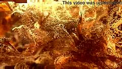 Sexy Teen 18+ Latina Susy Sweet Gang Bang Dap Interracial Fucking Hard