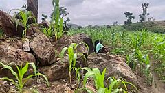 we went to the farm to fuck part 2 with curvy bbw screaming!