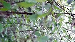 We Fuck In The Woods Hiding Our Lesbian Pussy Licking And Cumming