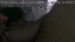 Lover savors sucking massive cock with passion