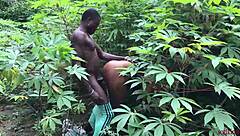 are nigerian farmers seriously knacking wet milf pussies in africa?