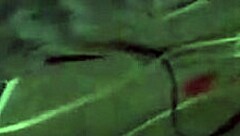 We give each other the sloppiest anal with big black cock