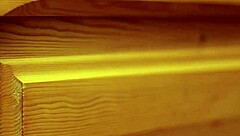 friends film fake adult video that goes wrong