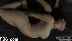 savage cock sucking bound beauty hardcore bdsm satisfaction