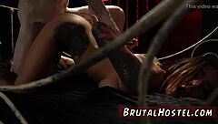 brunette teen bound for interracial anal domination thrill