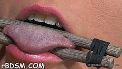 Lovable brunette babe toys her soaked pussy bound tight