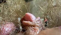 extreme close-up of throbbing big clit vagina and ass