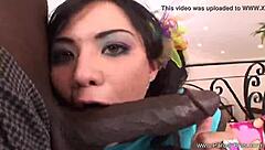 sexy neighbor craves big black cock stretching her tight pussy wide