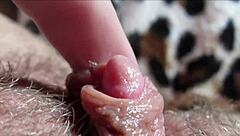 Huge Clit Pulsing To Massive Orgasm Closeup