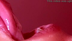 Cute close-up blowjob ends in massive facial cumshot