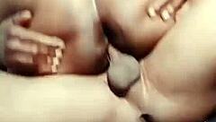 nigarchrist petal update from june 15