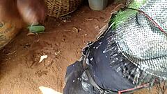 big cock cums on curvy mommy's fat ass