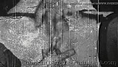 dark lantern entertainment unveils my secret vintage life story