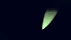 damn girl your thick latina ass takes backshots perfect