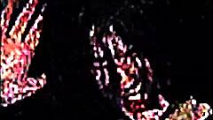 big tits and asses bouncing wildly everywhere