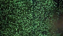 secret solo masturbation session builds to explosive orgasm climax