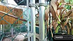 wanna watch bbc train brazilian baddie from pussy to tiger in amazon?