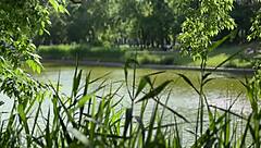 Gina Gerson's yoga pussy riding temptation?