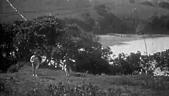 Vintage nudes featuring natural tits and hairy bodies in nature