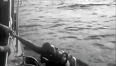 Intense Vintage Blowjob with Hairy Erotic Scenes