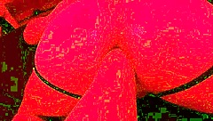 ffuck therapy turns into intense fisting session