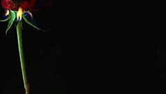 Discover secrets and play dirty games