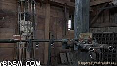 zealous chick begs for intense vibrator play now