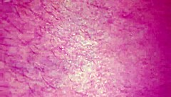 amateur couple fucks on valentine's day