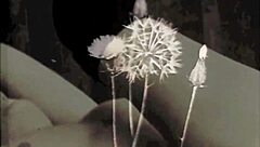 my secret life vintage granny fanny blowjob mature milf