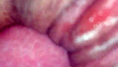 The brunette gets her pussy fucked hard