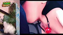 I'm watching a hentai game, volume 18, featuring anime characters