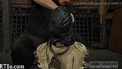 Free Hardcore Sadomasochism Porn Videos