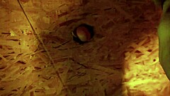 Twink Gives Detailed Blowjob Through Glory Hole in Gay Encounter