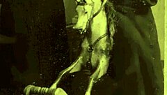 the secret life of a victorian gentleman with antique hairy adventures