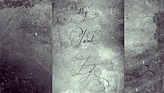 Dark Lantern presents my secret life: erotic confessions of a Victorian gentleman.