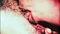 Dark Lantern presents my secret life: erotic confessions of a Victorian gentleman.